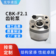 齿轮泵小型 微型齿轮泵 CBK-F2.1液压动力单元齿轮油泵 厂家批发