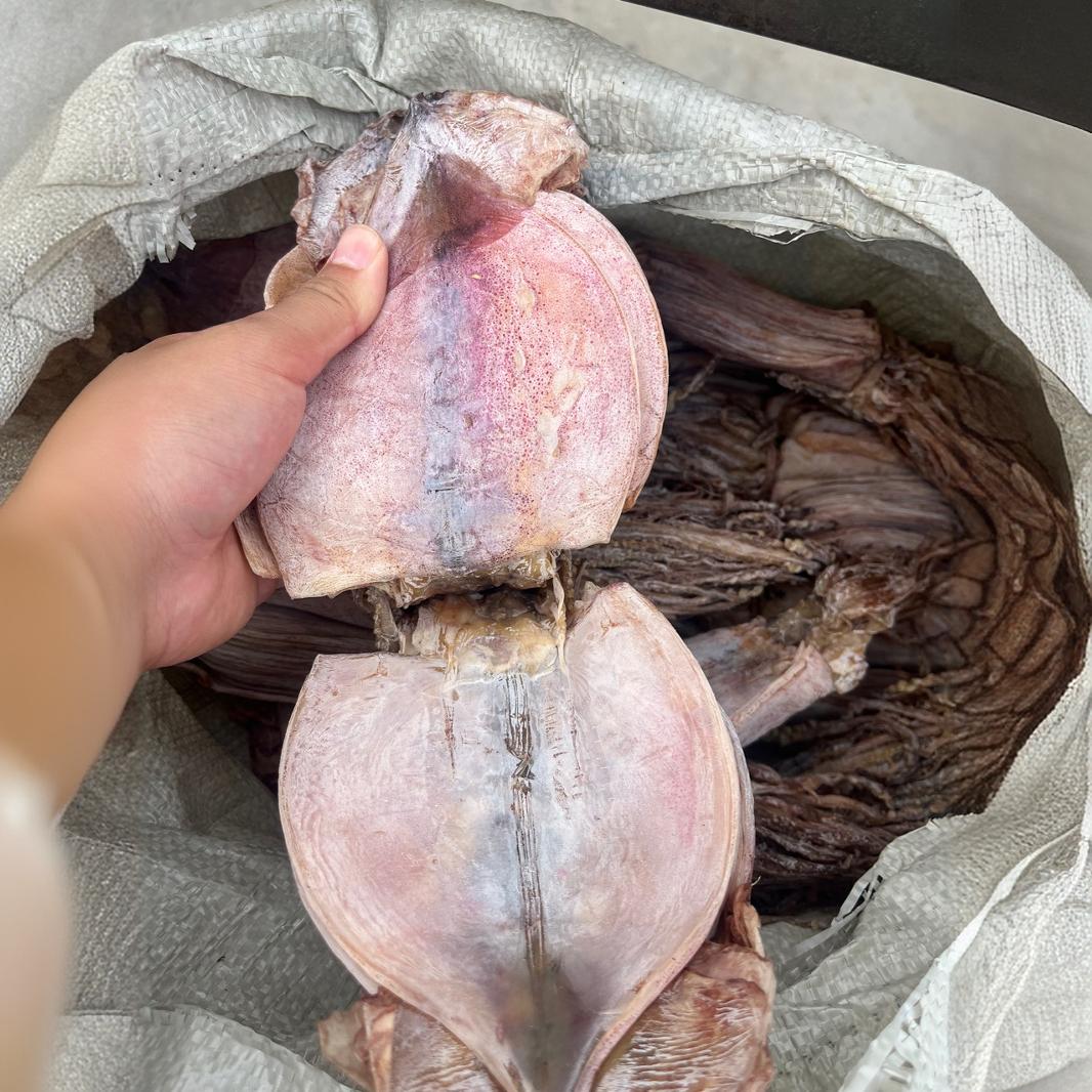 鱿鱼干批发朝鲜族鱿鱿鱼ok鱿鱼水发鱿鱼火锅餐饮-阿里巴巴