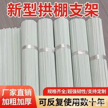 100根小拱棚支架拱杆竿大棚内棚套棚骨架玻璃纤维杆地膜艺农用业