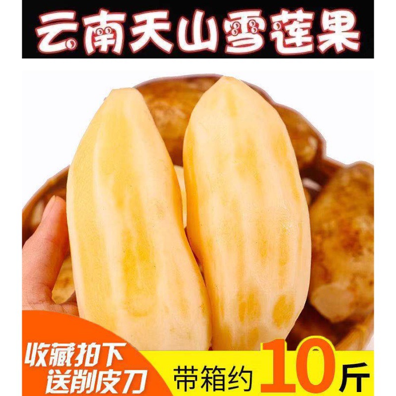 云南天山雪莲果现挖红心孕妇水果水果当季包邮净重5斤整箱-阿里巴巴