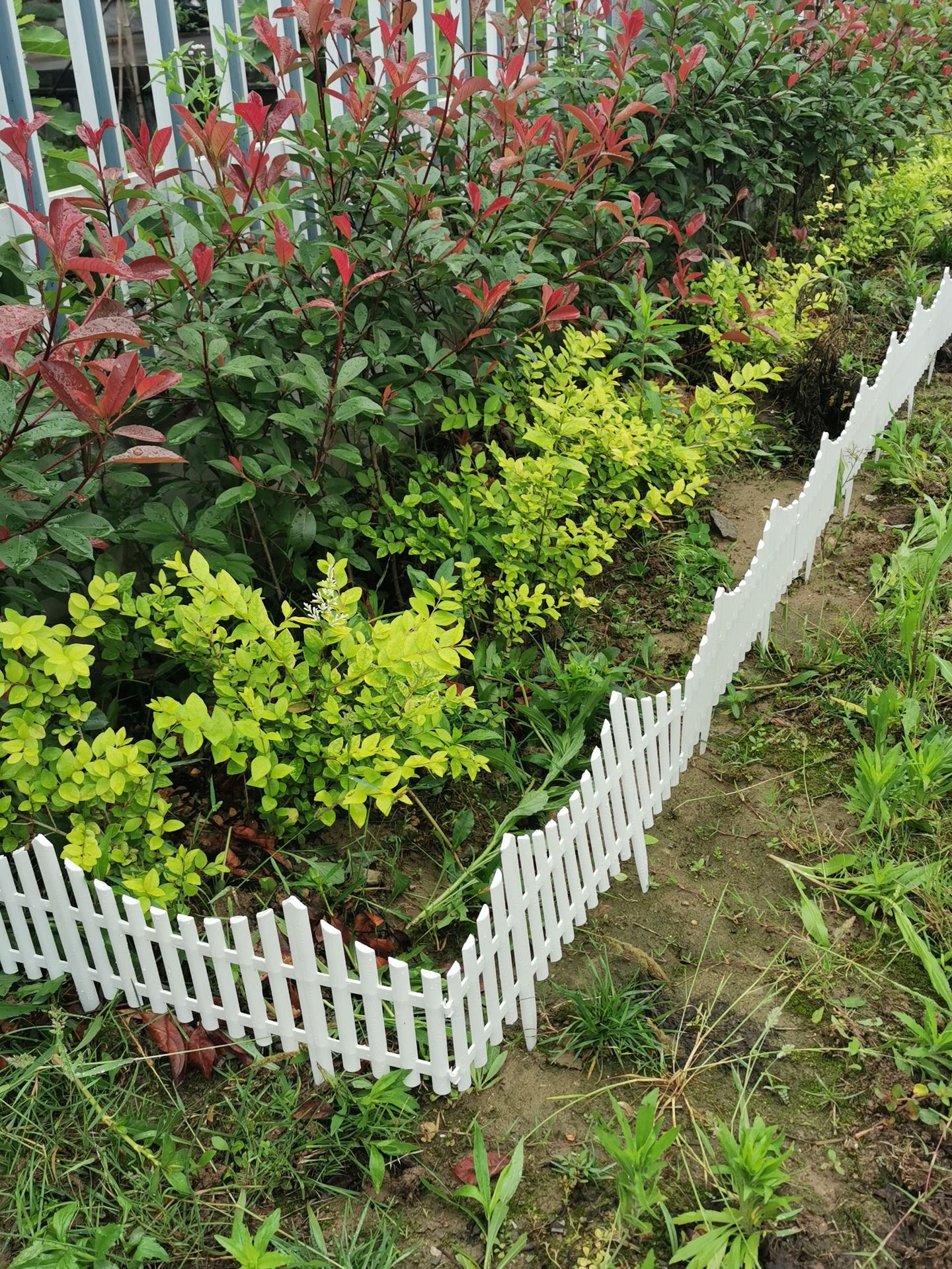 厂家直销塑料篱笆园艺栅栏插围栏塑料栅栏装饰园林塑胶护栏插地