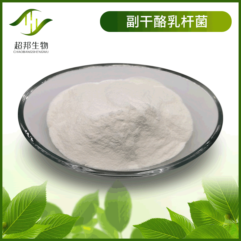 副干酪乳杆菌 乳酸菌 肠道益生菌 冻干型 益生菌 原菌粉