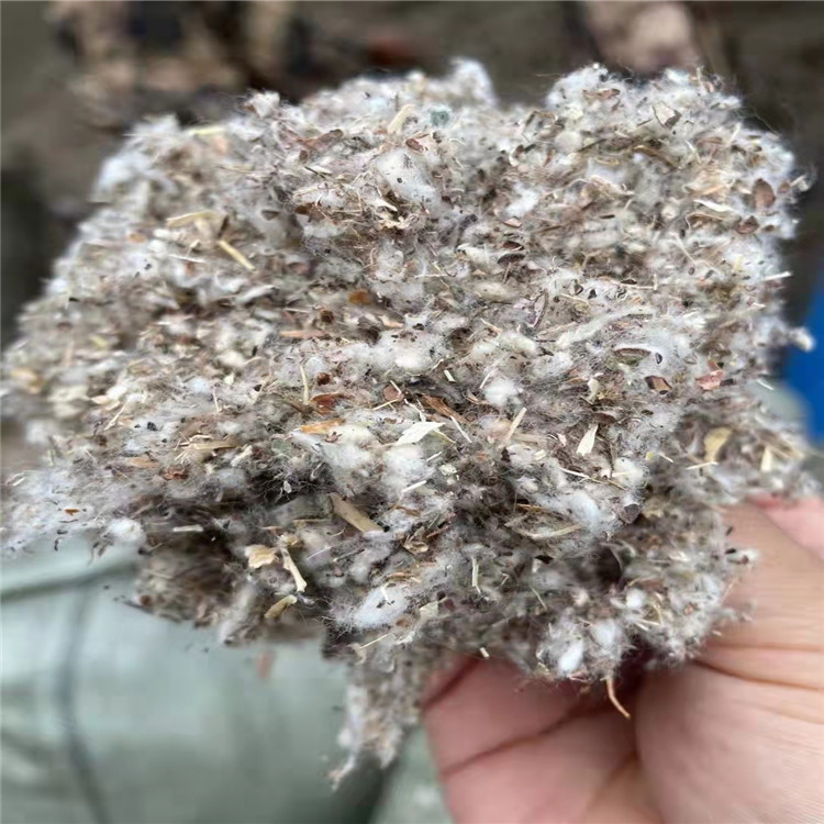 现货棉籽壳 菌类植物用棉籽壳 长绒棉籽壳