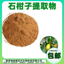 石柑子提取物 石气柑比例提取 喷雾干燥 瑞帕供应 量大可议价