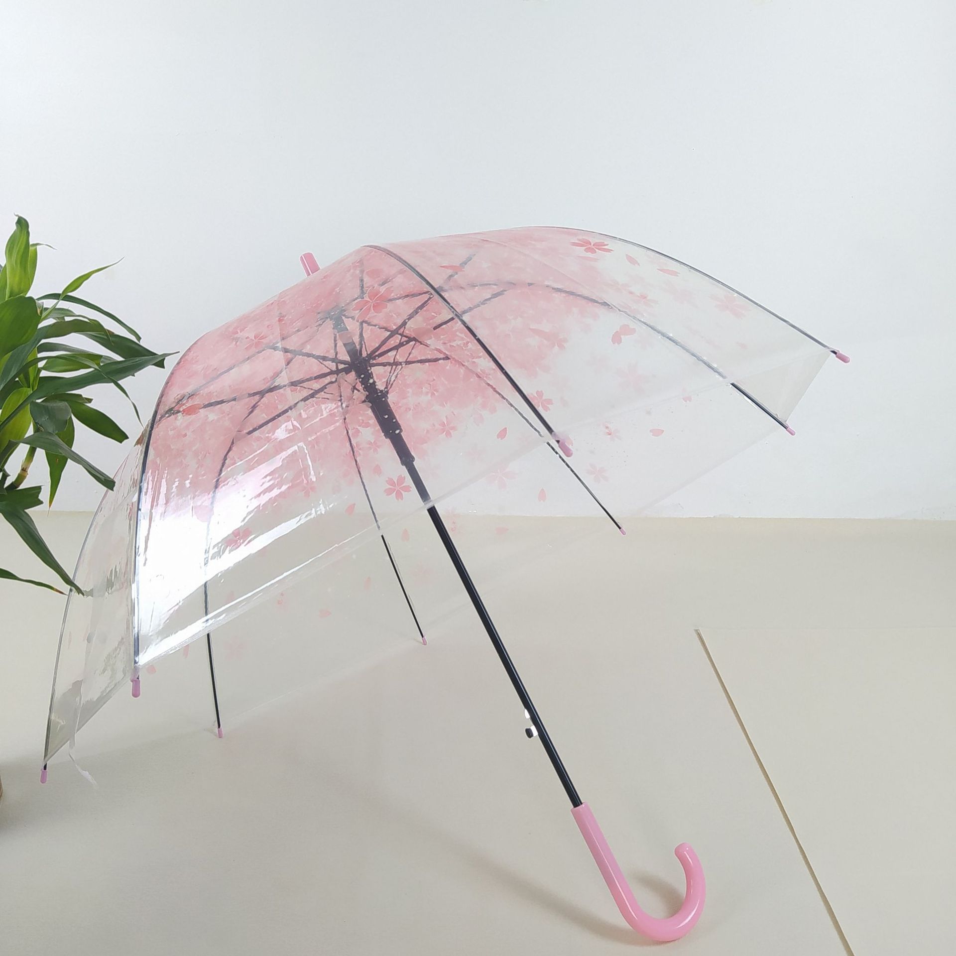 透明阿波罗雨伞直杆长柄礼物雨伞彩色樱花蘑菇公主伞学生礼品雨伞