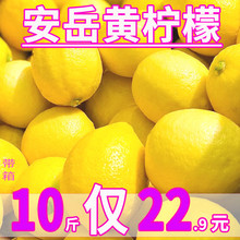 四川安岳黄柠檬新鲜皮薄当季香水柠檬奶茶店10斤商用水果