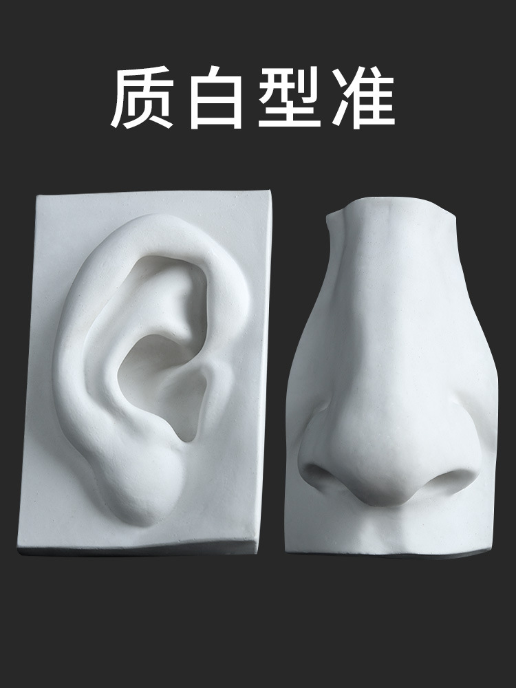 左绘画材艺考一套大卫石膏五官石膏像实面眼耳鼻嘴模型美术教具素