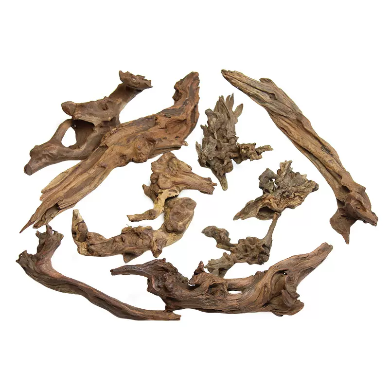 狂想者【小沉木/珊瑚木】枯木树枝雨林缸树根造景微景观材料
