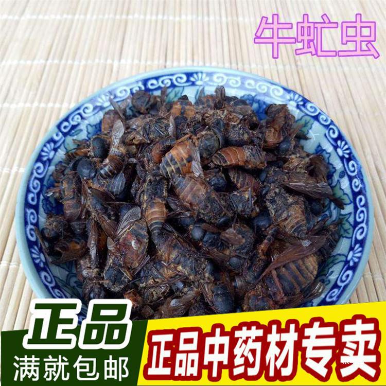 牛虻虫 牛虻虫 250克 蜚虻,牛虻,牛蚊子 牛苍蝇,瞎虻虫真货好