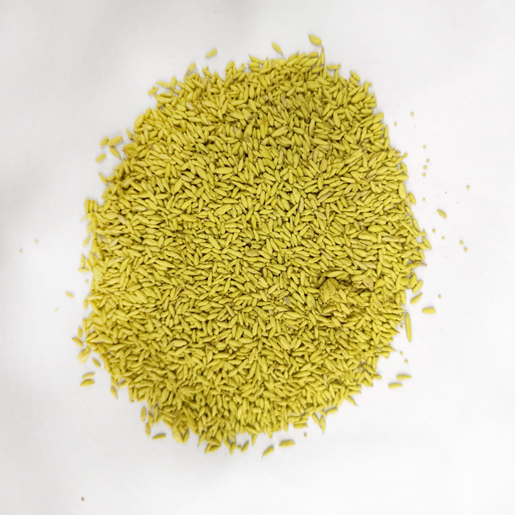 鸭茅种子 鸭茅草籽牧草种子多年生固堤防沙畜禽饲料绿植货到付款