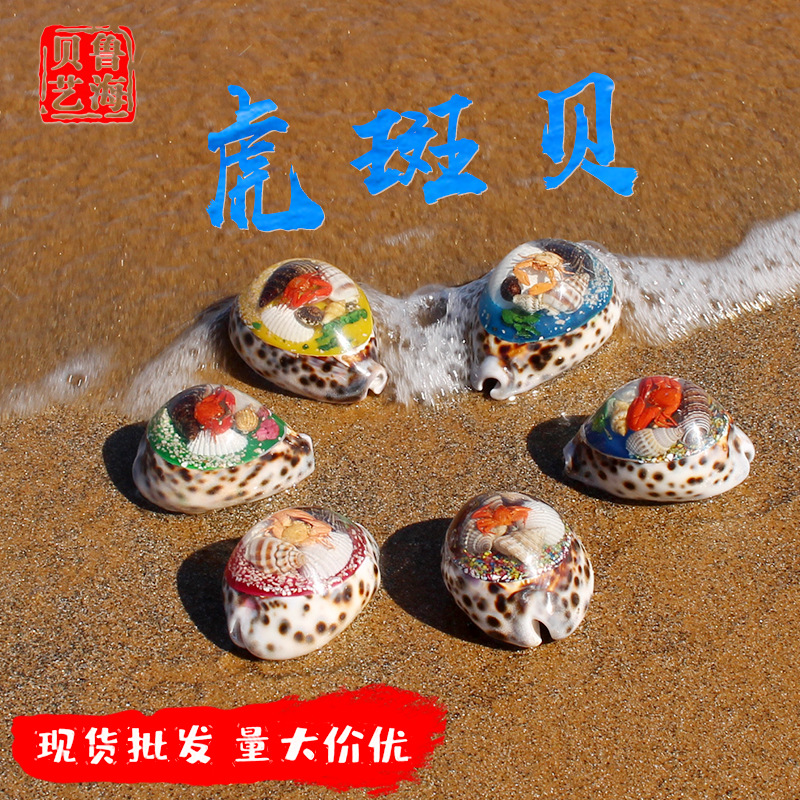 手工海螺贝壳创意礼品虎斑贝琥珀家居摆件送礼小螃蟹海螺壳