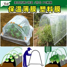 薄膜布保温透明家庭防冻大棚菜地蔬菜棚菜园菜棚园艺农用厚塑料膜