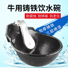 加厚牛用饮水碗铸铁马牛自动吃水碗饮水器喂水神器养殖兽用喝水槽