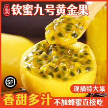 海南黄金百香果钦蜜9号新鲜水果发货热带水果一件代发百香果批发