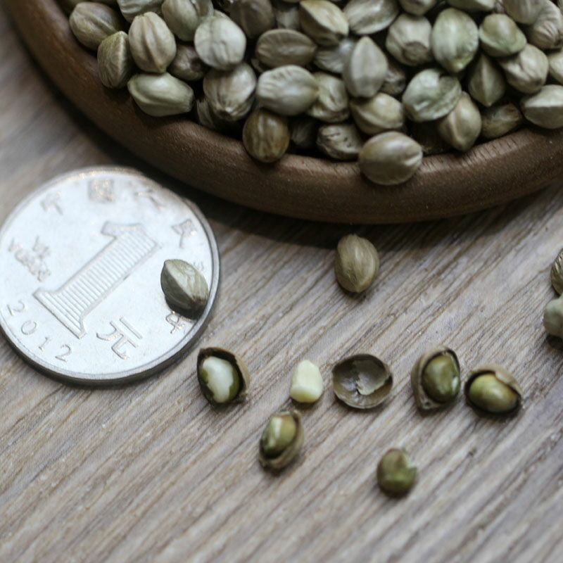 火麻仁 生火麻子500克巴马火麻子 火麻仁 火麻子