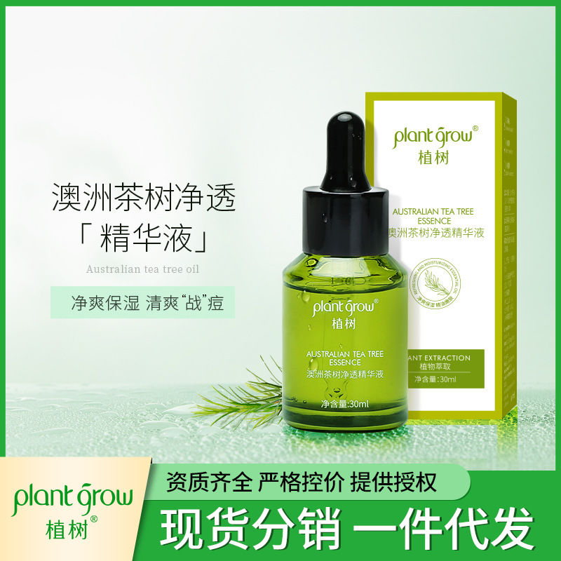 澳洲茶树净透精华液 清痘粉刺淡化痘印细化毛孔精华液现货批发