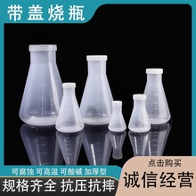 源头厂家塑料烧瓶50ml-2000ml化学实验烧瓶三角烧瓶耐高温pp 烧瓶