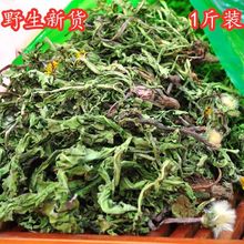 沂蒙山蒲公英野生蒲公英茶整棵带根带花特级天然婆婆丁纯50g包邮