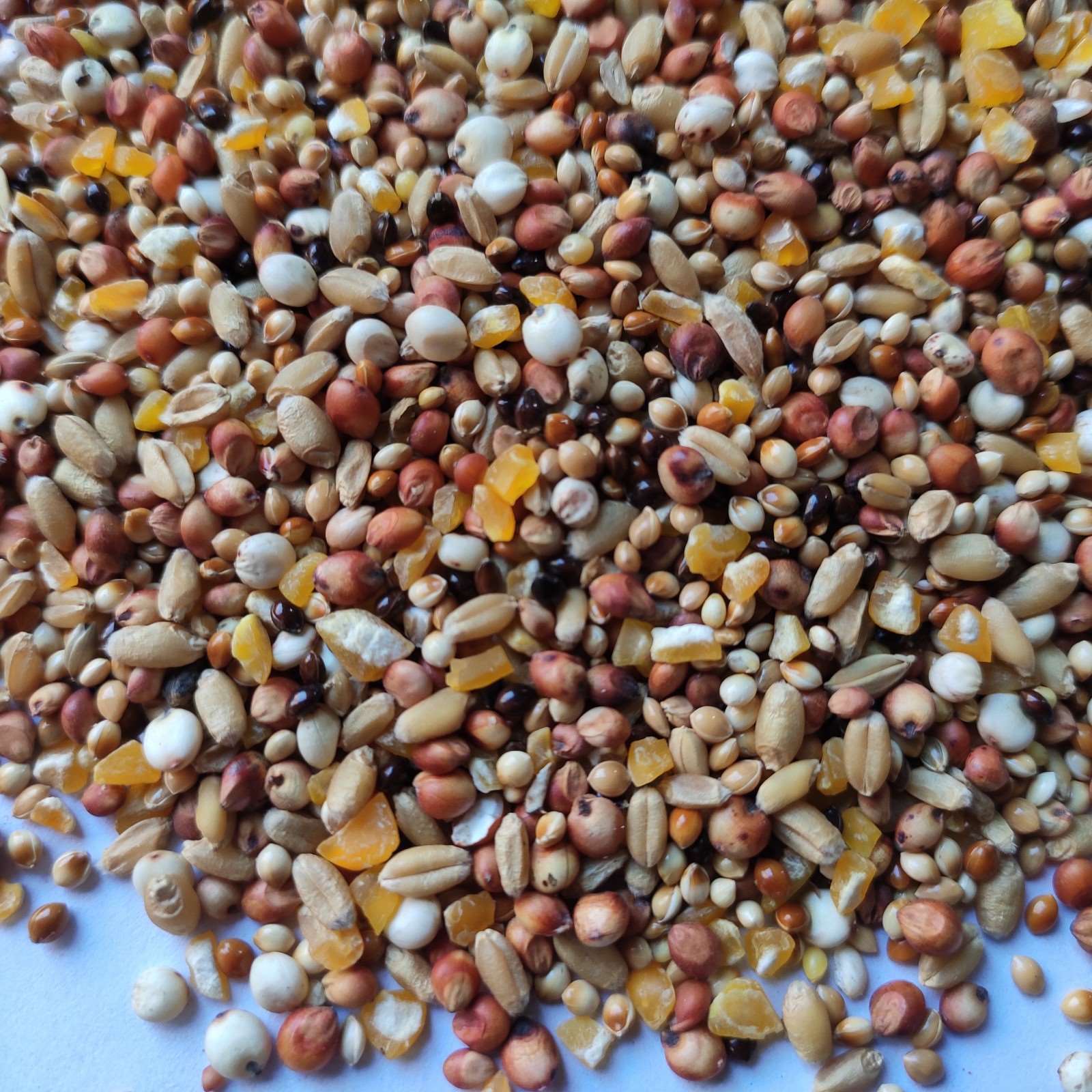 斑鸠粮竹鸡粮山鸡粮鸡饲料斗鸡粮仓鼠粮合鸽粮鸟食饲料斤包邮