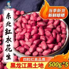 东北红衣生花生米500g黑龙江四粒红花生仁新鲜红皮不带壳新货米仁