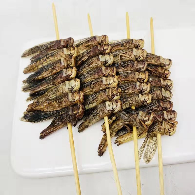 大蚂蚱串 蝗虫串冷冻蚱蜢串烧烤油炸街边半成品常用食材 200串/件