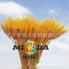 厂家直供工艺品大麦染色剂 花束麦穗着色剂 金黄色粉水性着色剂
