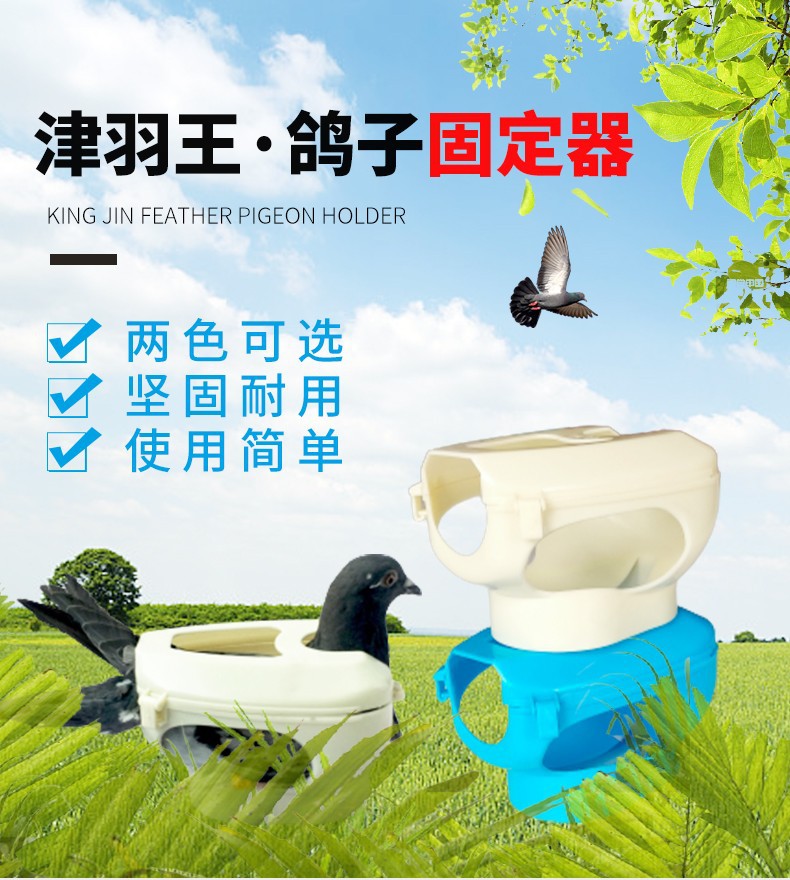津羽王鸽具信鸽固定器喂药注射疫苗看鸽眼固定架束鸽器