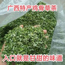 广西新鲜鸡骨草茶鸡骨草茶叶草藤茶泡茶材凉茶茶养生茶