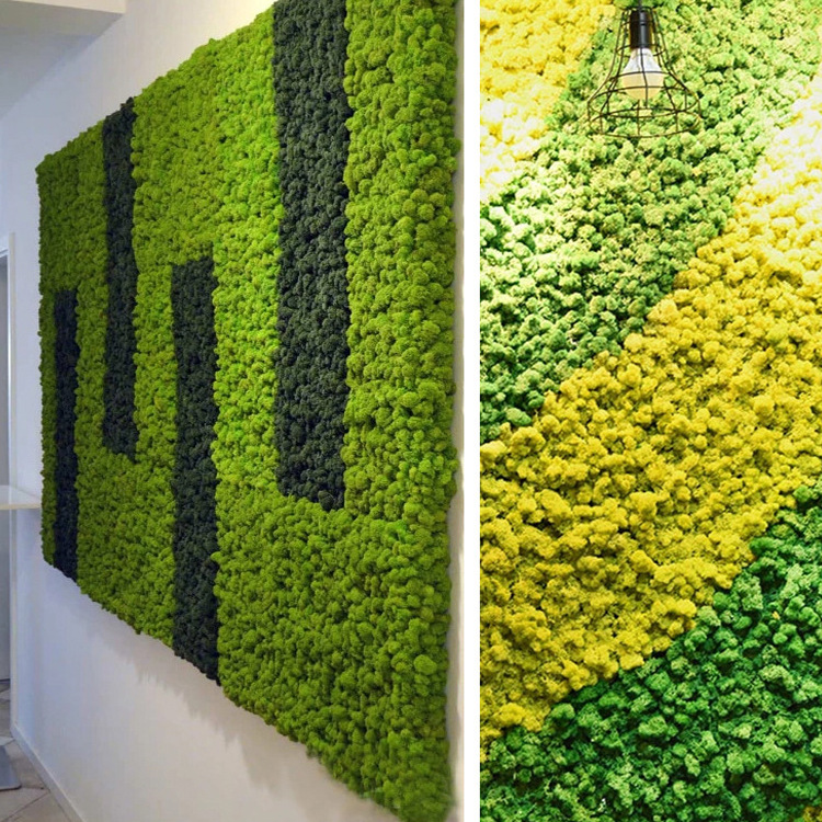 永生苔藓仿真植物墙配材青苔假苔藓背景墙家居装饰永生花仿真花