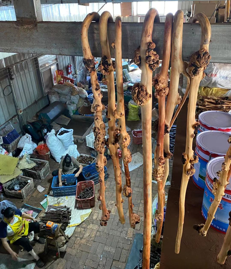 云南复古木黑山茶果木树瘤老人木拐 把手手杖木制拐棍留疤木寿杖