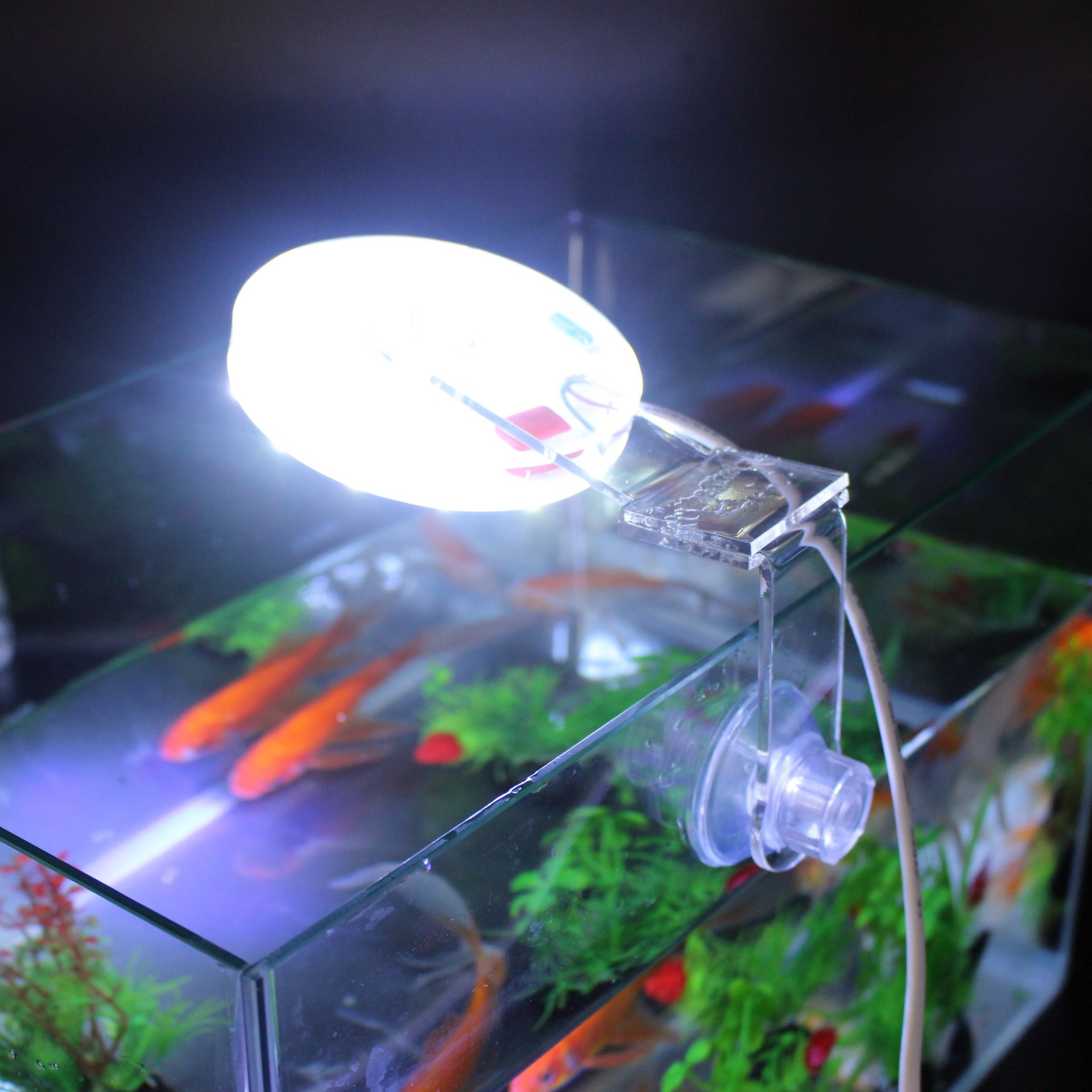 小鱼缸照明防水led灯方形缸水草造景夹灯节能彩色灯光吸盘式圆灯