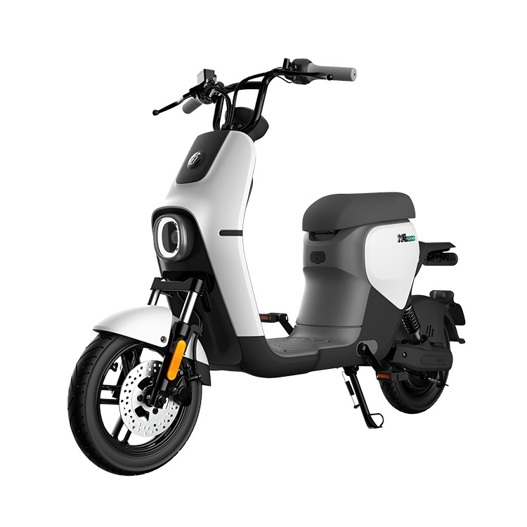 ninebot九号b30c新国标可上牌9号智能电动车高性能续航铅酸电单车