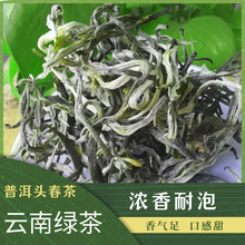 云南普洱绿茶2023年新茶 银丝茶一级春茶叶袋装2023年明前茶