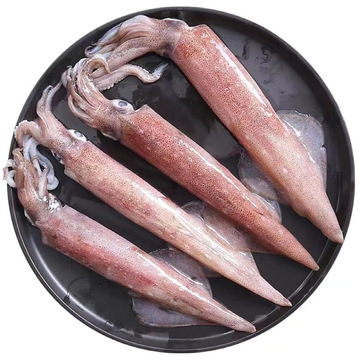 批发冷冻比管鱼火箭鮹 印尼红鱿鱼带籽 烧烤火锅商用捞汁海鲜食材