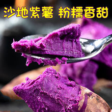 山东紫薯新鲜紫罗兰紫薯香甜红薯紫心蜜薯番薯地瓜蔬菜批发2斤厂