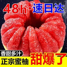 广西容县红肉蜜柚红心柚子西柚产地新鲜爆甜当季水果大果包邮