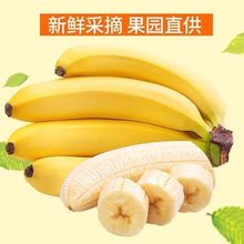 香蕉南甜帝蕉薄皮青皮天2/5/9斤整箱软糯香甜工厂批发一件代发