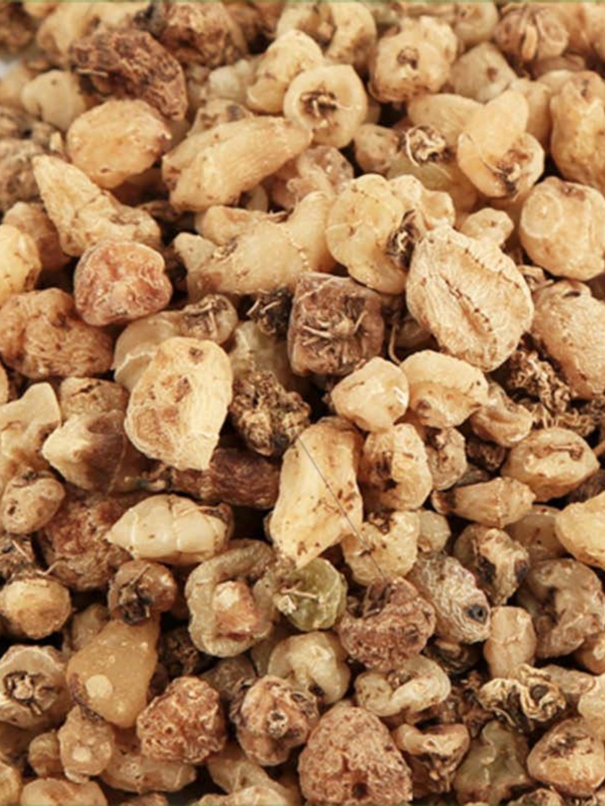 中药材正品新货山慈菇500g克包邮 精选毛慈菇茅慈菇山慈姑中草药