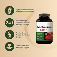 跨境供应 黄连素胶囊 Berberine capsules 60/粒 源头厂家