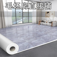 地垫大面积全整铺家用客厅地毯卧室加厚免打理塑料地板革