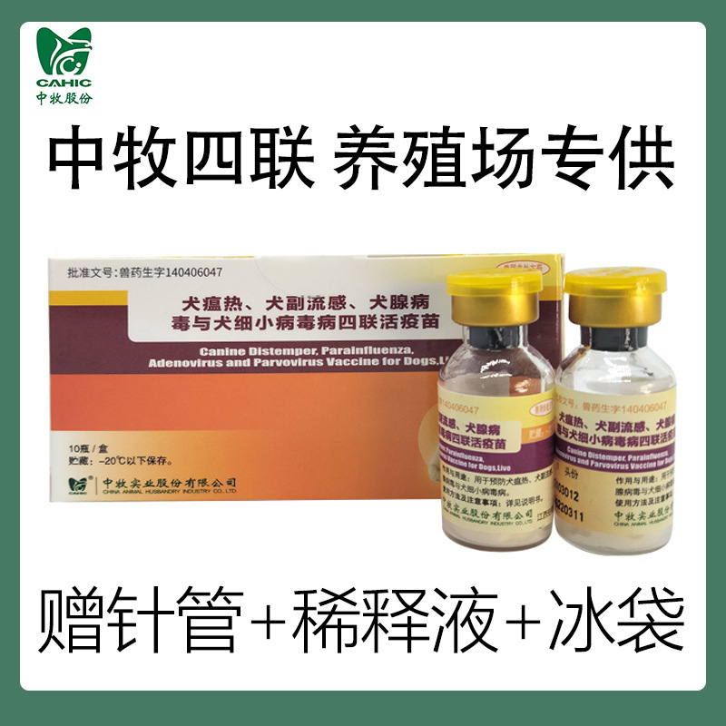中牧犬四联疫苗国产肉狗土狗预防细小犬瘟热育苗针批发养殖场专用