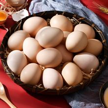 40枚散养土鸡蛋现捡新鲜草鸡蛋营养健康笨鸡蛋20枚整箱批发价厂家