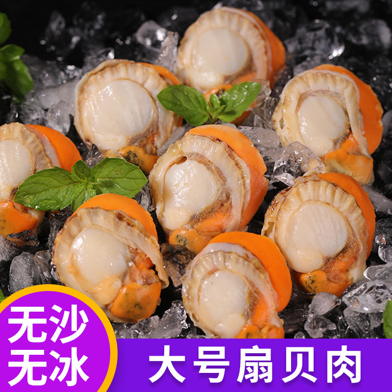 新鲜扇贝肉 冷冻水产带黄无沙 鲜冻扇贝肉即食大号扇贝肉