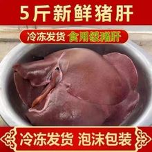 【特价】新鲜农家土猪猪肝批发新鲜猪肉