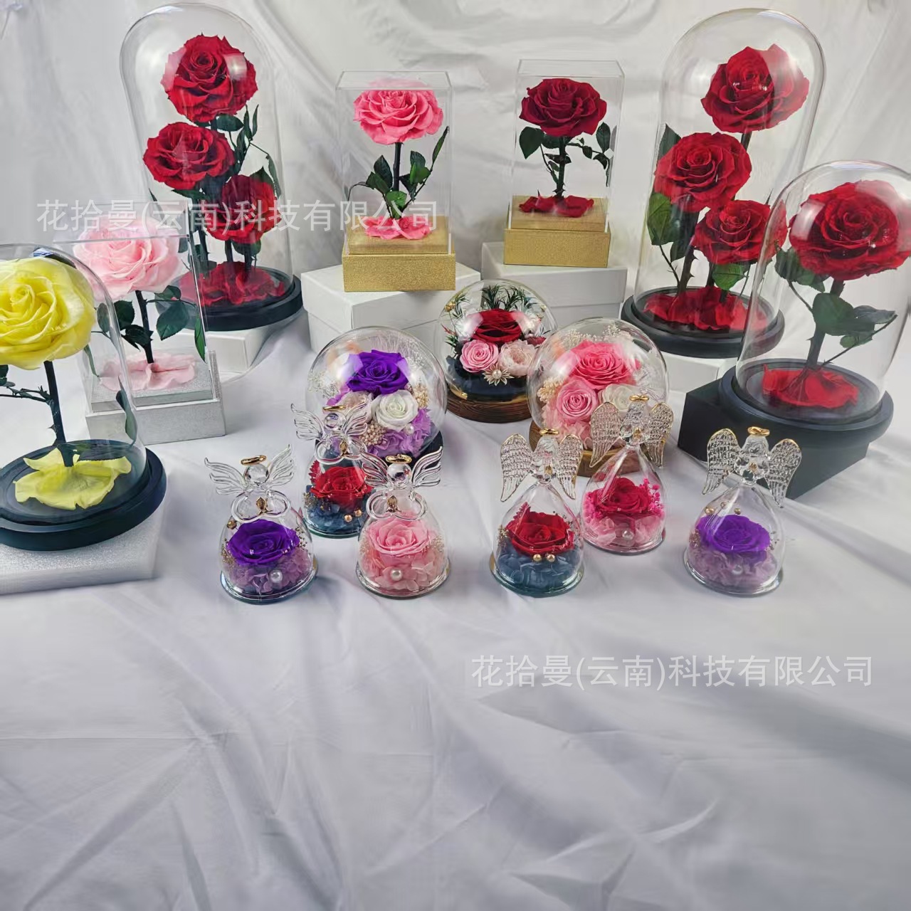 玻璃罩永生花玫瑰 跨境小天使永生花礼盒情人节过节送礼成品摆件