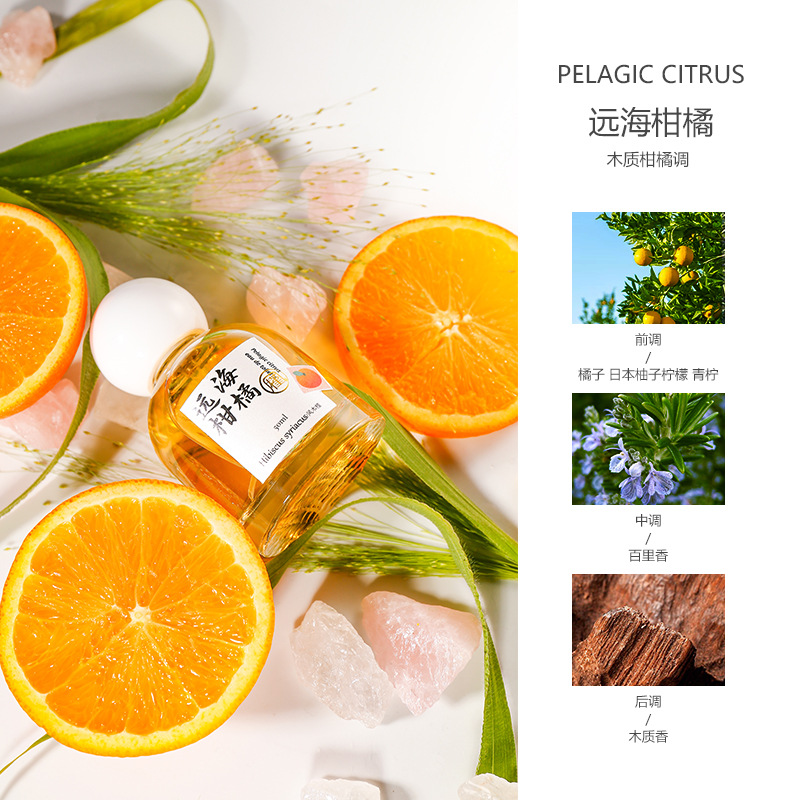 Best-Seller on Douyin Wind Hisbiscus Far Sea Flowers Open Orange Perfume Ladies Long-Lasting Light Perfume Wooden Floral Tone Niche Wholesale