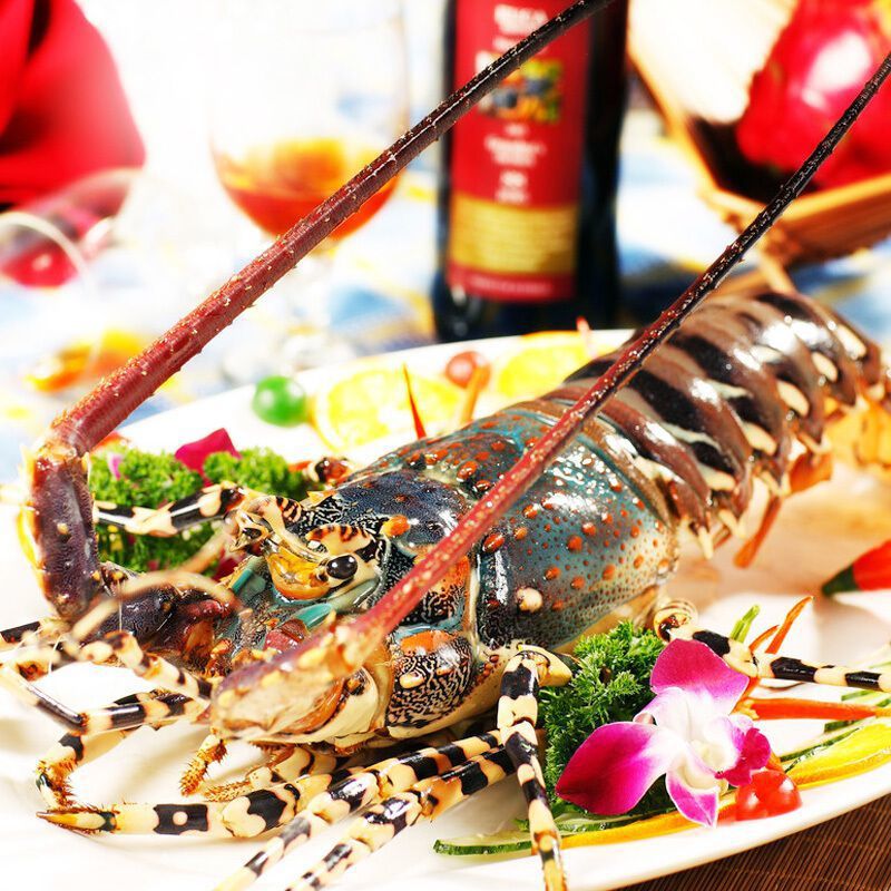 花龙 澳洲大龙虾 锦绣龙虾 彩虹龙虾 青龙海鲜过年过节礼品