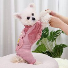 秋冬季泰迪小中型犬狗狗比熊宠物猫咪加厚保暖四脚腿衣服用品服饰