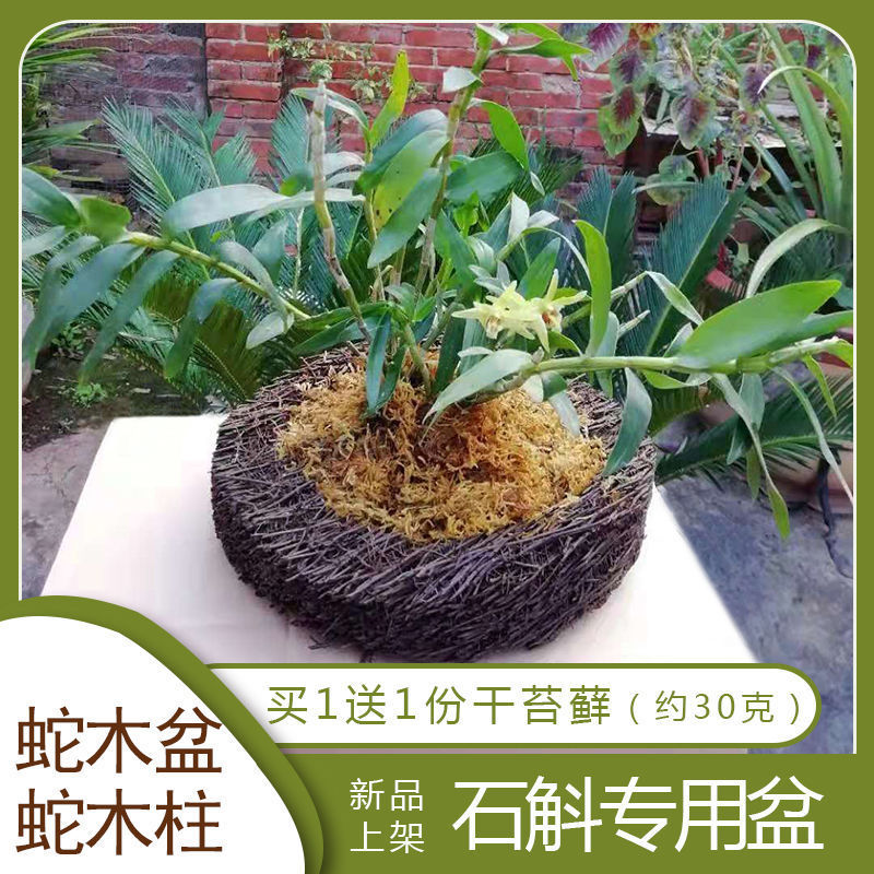 蛇木板蛇木柱桩盆洋兰花附生板兰球兰攀爬植物鼓槌石斛种植板植料