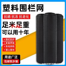 养鸡养鸭塑料养殖网围栏网防护隔离网玉米网栅栏网果园圈地防护网